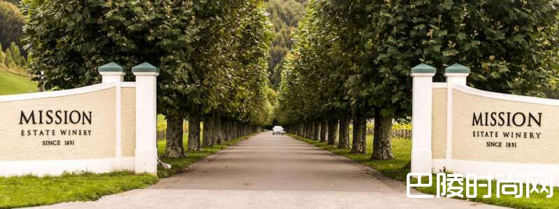 干货：新西兰名庄盘点之北岛篇