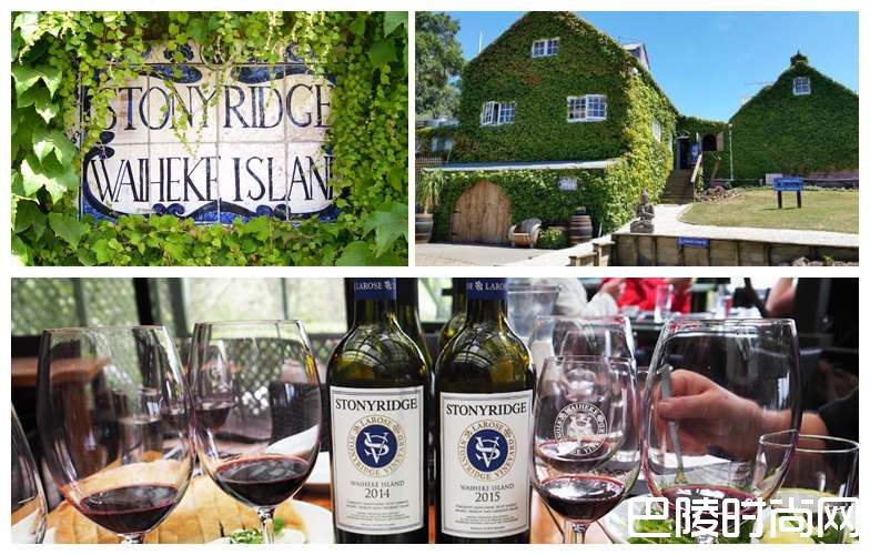 干货：新西兰名庄盘点之北岛篇
