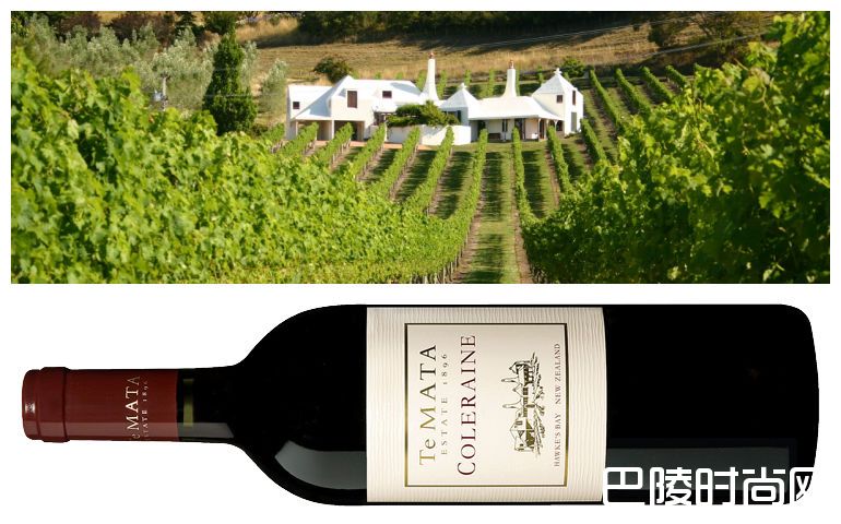 干货：新西兰名庄盘点之北岛篇