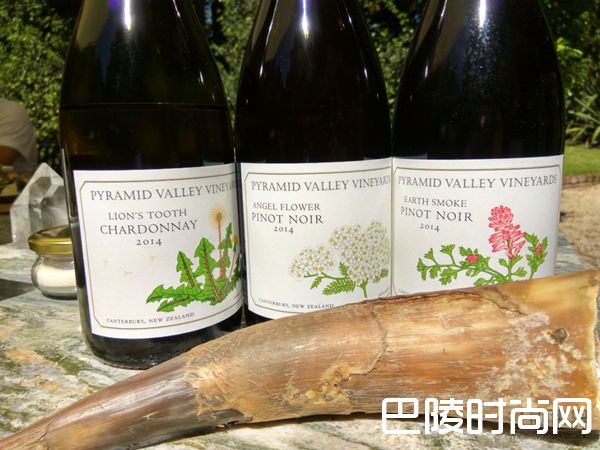 干货：新西兰名庄盘点之南岛篇