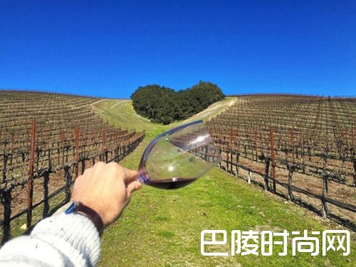 干货：新西兰名庄盘点之南岛篇