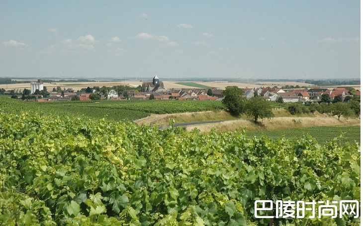 法国香槟产区探秘