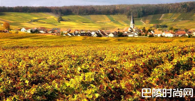 法国香槟产区探秘