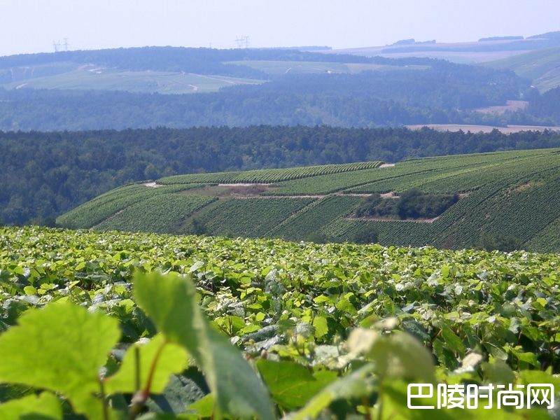 法国香槟产区探秘 法国香槟产区探秘