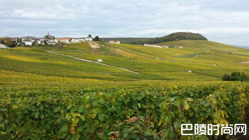 法国香槟产区探秘