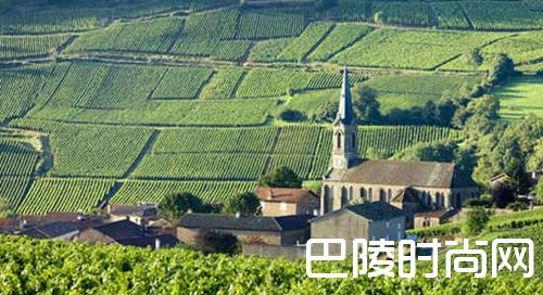 探索黑皮诺全球优质产区 探索黑皮诺全球优质产区