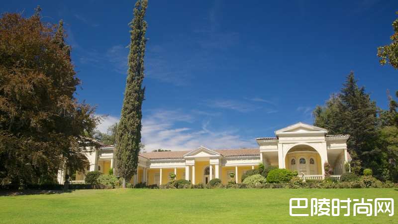 干露集团高端品牌麦卡斯做客红酒世界直播间