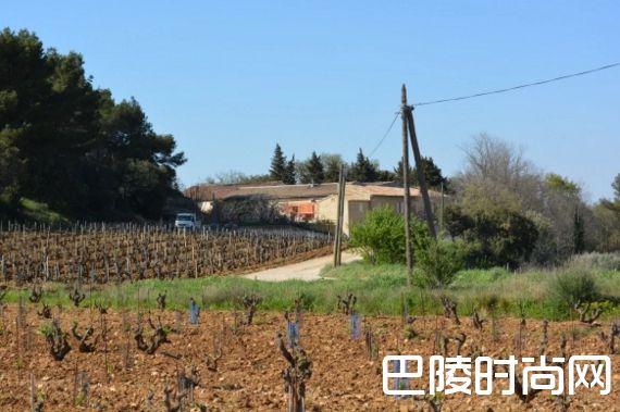 6座不可不知的教皇新堡酒庄