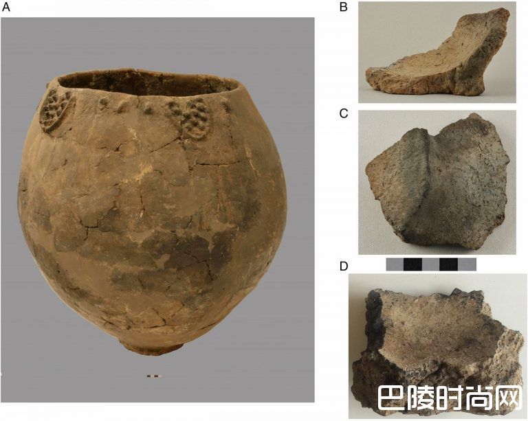 人类史上最古老的葡萄酒证据被发现 人类史上最古老的葡萄酒证据被发现