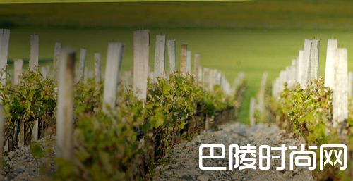 玛歌年份盘点：2007-2016年