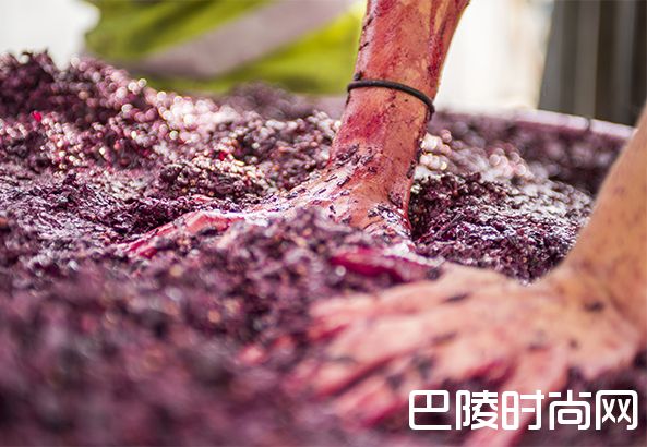 关于红葡萄酒的这12件事，你知道吗？