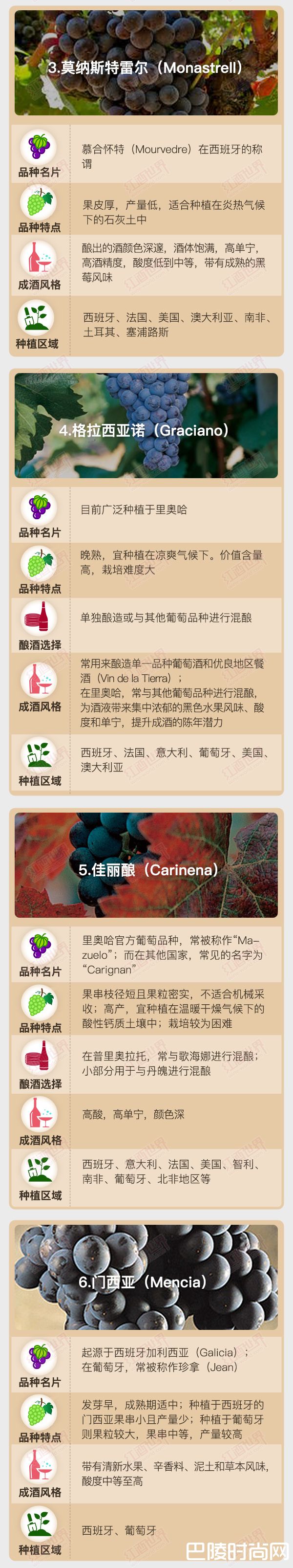 红酒世界连环话：西班牙本土明星葡萄品种集结号