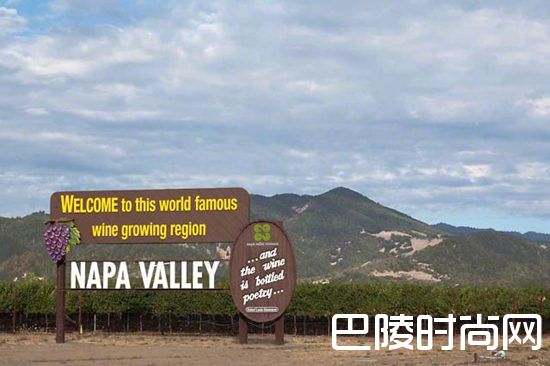 纳帕谷三大葡萄品种概览 纳帕谷三大葡萄品种概览
