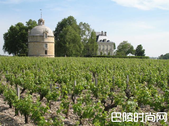 几句话助你了解波尔多十座顶级名庄 几句话助你了解波尔多十座顶级名庄