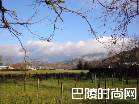 纳帕谷葡萄酒小测 纳帕谷葡萄酒小测