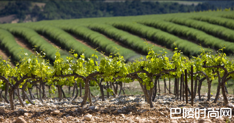 十问十答,全面解读罗讷河谷 十问十答,全面解读罗讷河谷