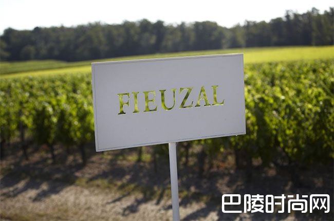 红酒世界一周资讯回顾:12月4日至12月8日 红酒世界一周资讯回顾:12月4日至12月8日