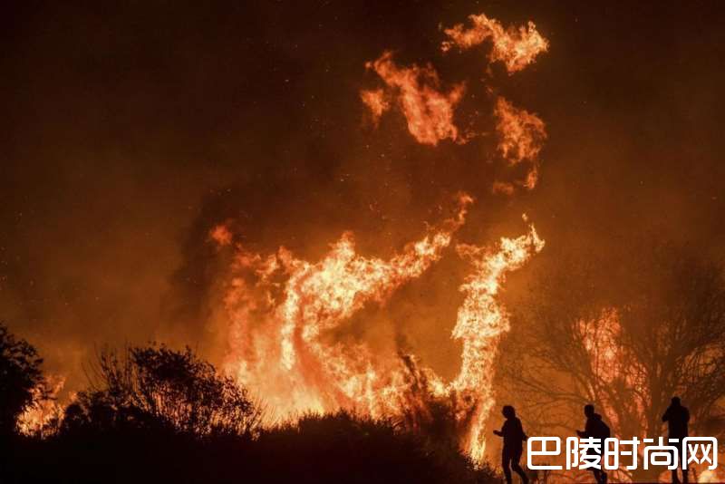 红酒世界一周资讯回顾:12月4日至12月8日 红酒世界一周资讯回顾:12月4日至12月8日