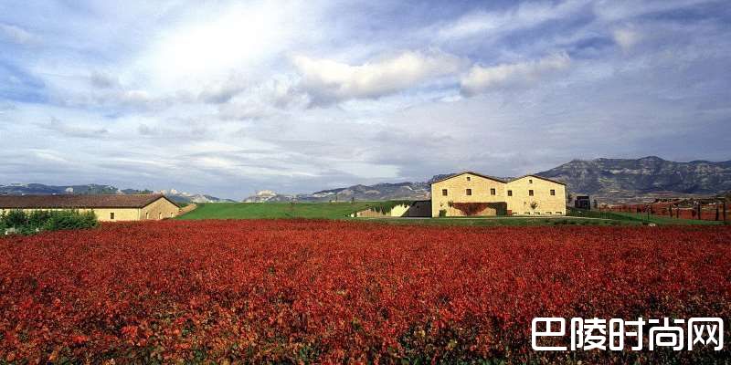 西班牙名庄大盘点 西班牙名庄大盘点