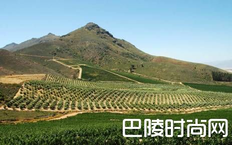 西开普省持续干旱，2018年南非葡萄酒将减产