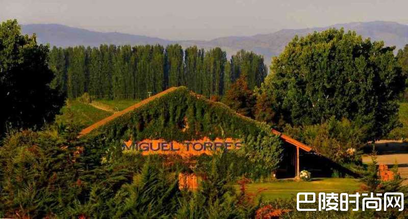 西班牙名庄大盘点