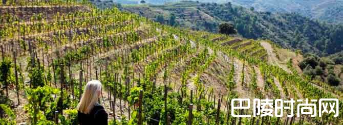 西班牙名庄大盘点 西班牙名庄大盘点