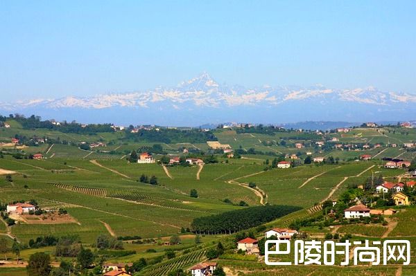 喝完这25种葡萄酒，或许你就是下一个葡萄酒专家