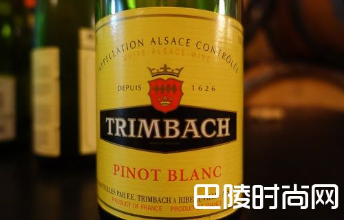 浅谈白皮诺葡萄酒