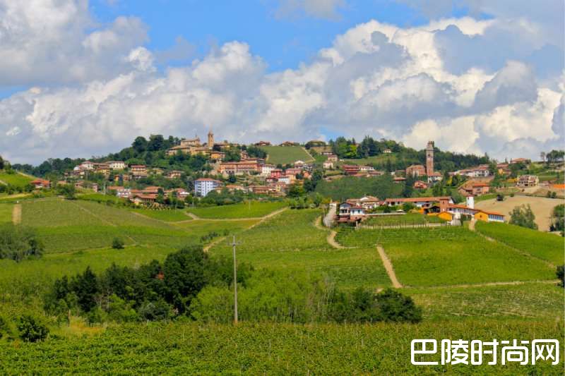 巴罗洛也有“特级园”? 巴罗洛也有“特级园”?