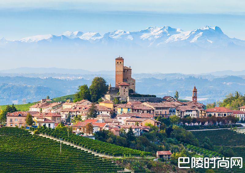 巴罗洛也有“特级园”？