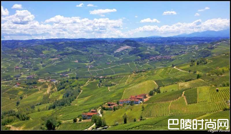 巴罗洛也有“特级园”？