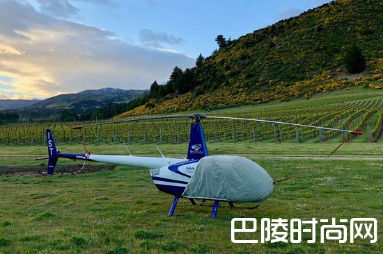 葡萄园抗寒大作战