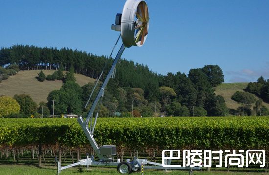 葡萄园抗寒大作战