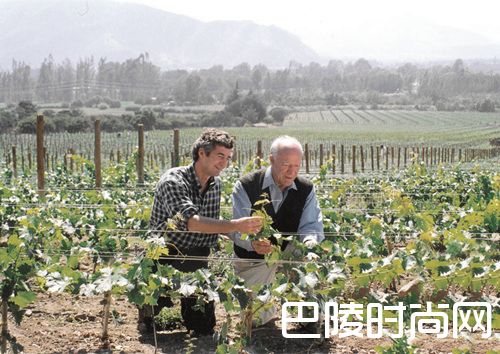 那些酒界风云人物联手打造的名庄