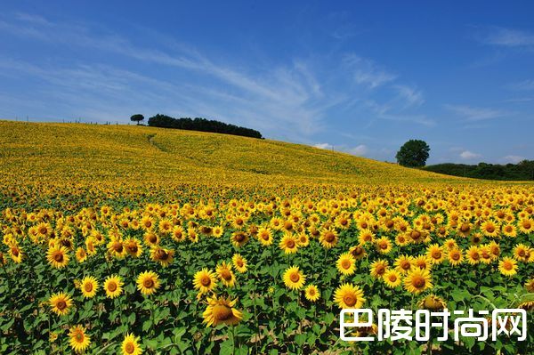 超级托斯卡纳，敬过往与明天