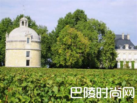 拉图城堡正牌酒10年回顾