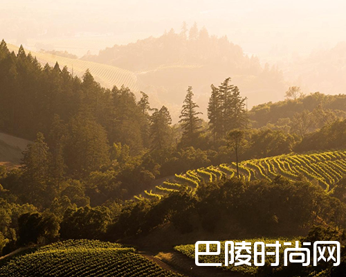 到底有多少个“索诺玛”？