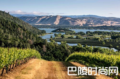 什么影响着葡萄酒的品质? 什么影响着葡萄酒的品质?