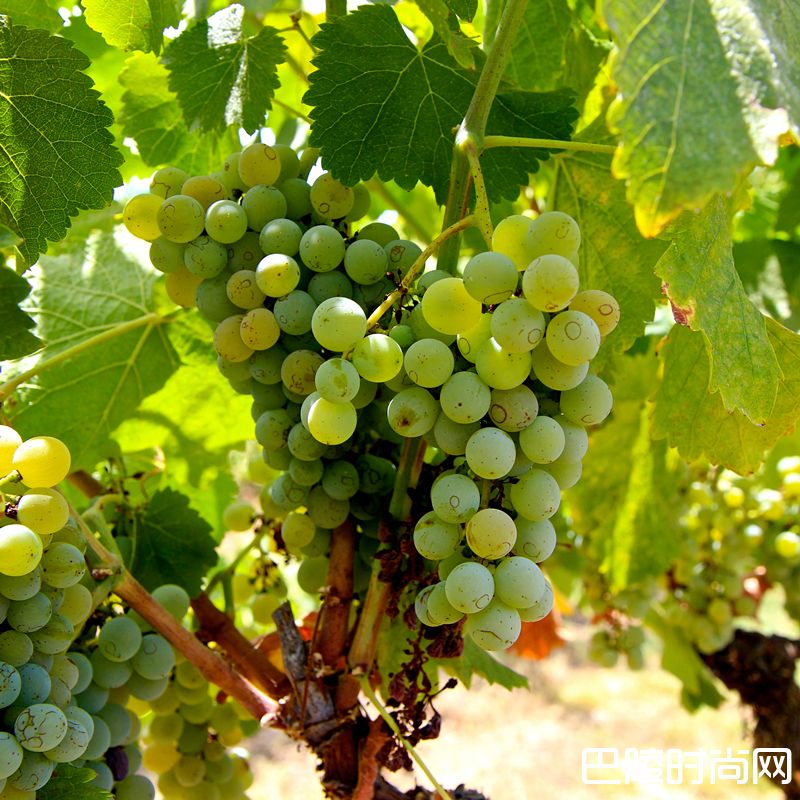 这一站,“法国花园”卢瓦尔河谷 这一站,“法国花园”卢瓦尔河谷