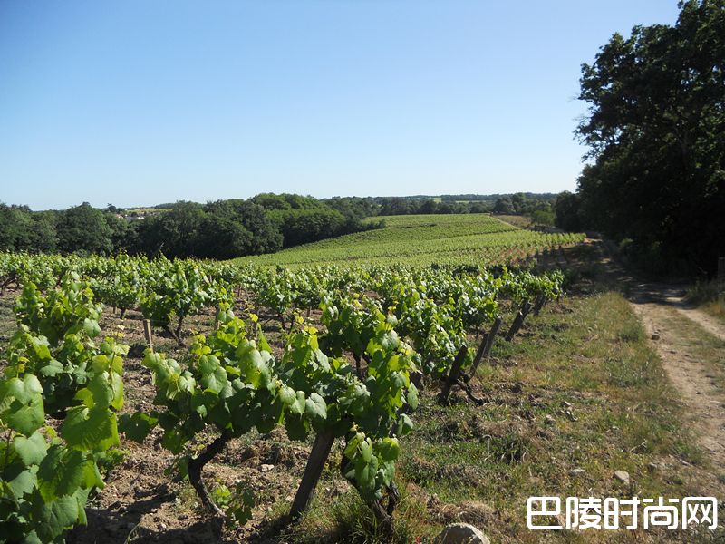 这一站，“法国花园”卢瓦尔河谷