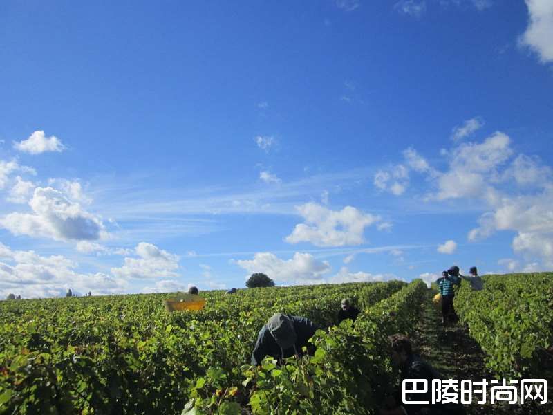 这一站，“法国花园”卢瓦尔河谷