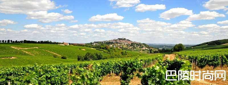 这一站，“法国花园”卢瓦尔河谷