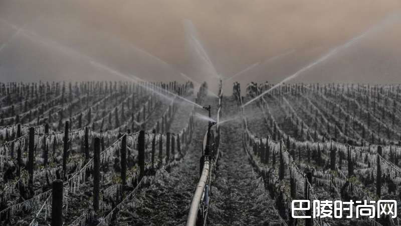 什么影响着葡萄酒的品质？