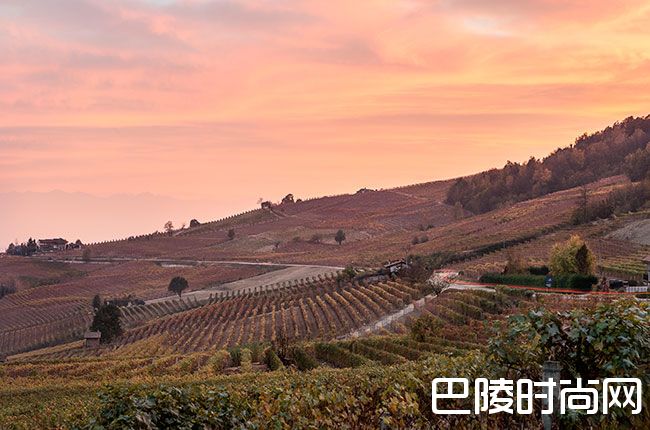 产区也申遗？有酒有景还有人文底蕴！