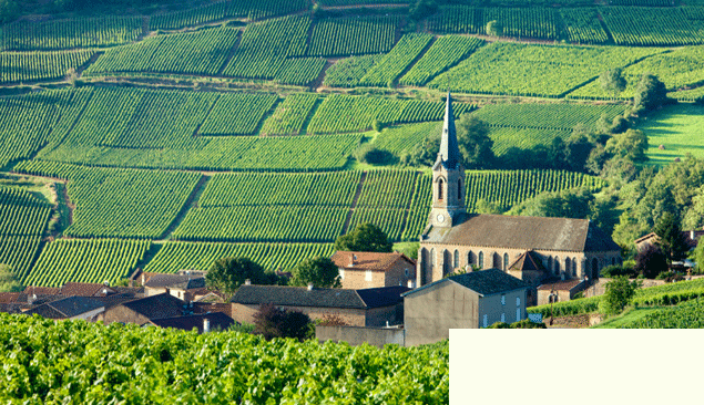 产区也申遗？有酒有景还有人文底蕴！