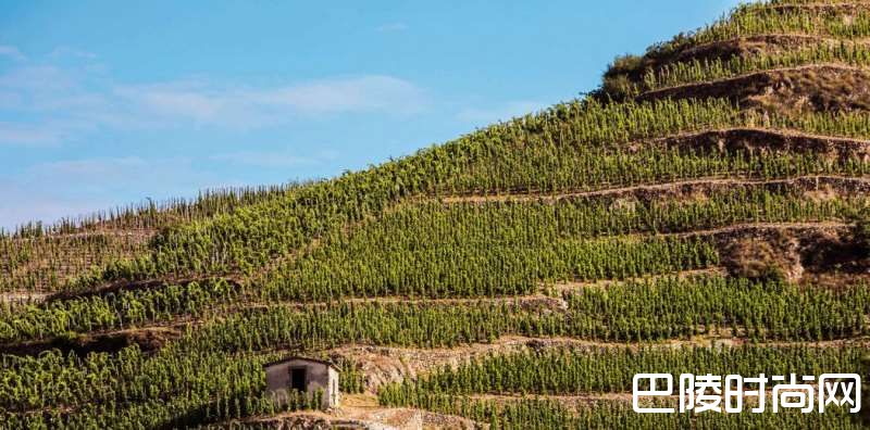 西拉之乡——科尔纳斯 西拉之乡——科尔纳斯