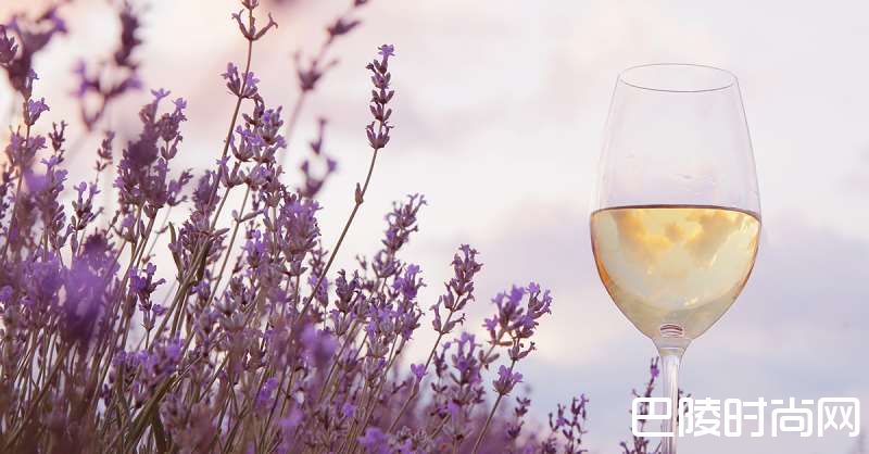 美酒相伴,春意更浓 美酒相伴,春意更浓