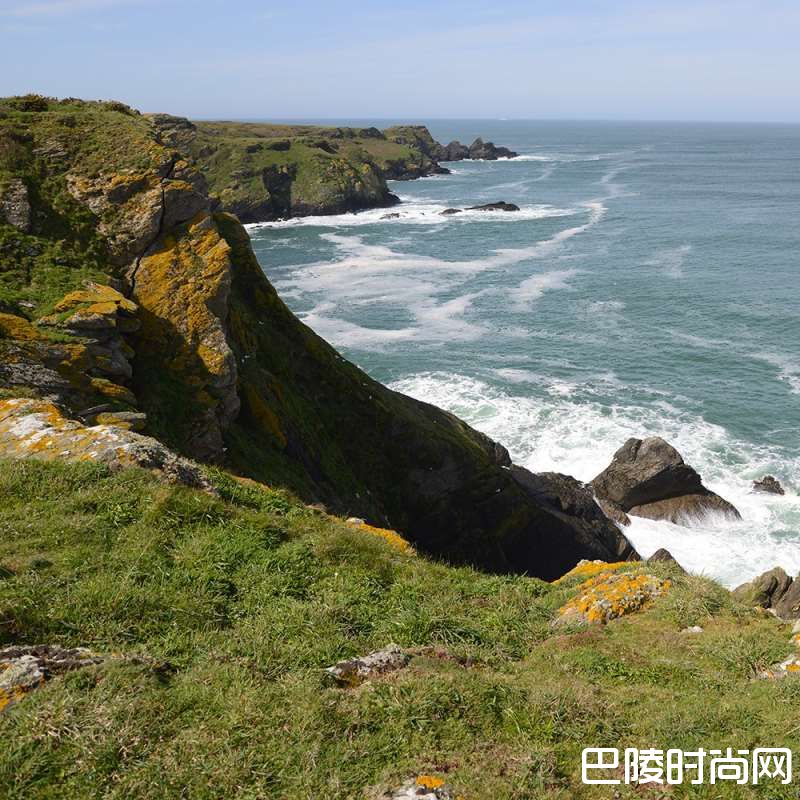 气候变暖，法国布列塔尼葡萄酒或将重生