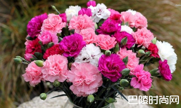 花香袭人，酒中亦可觅芳踪