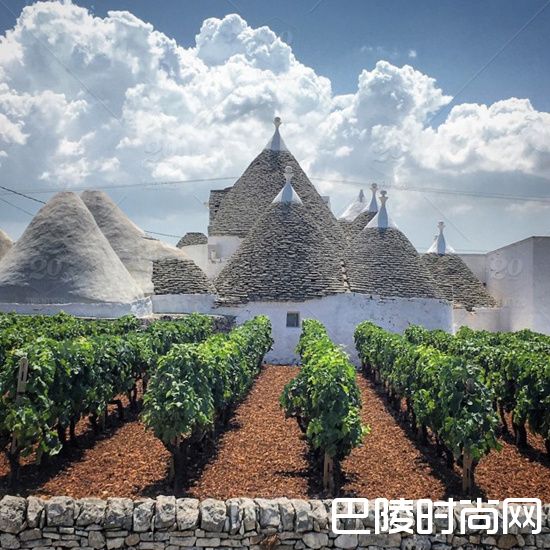 普利亚：特色品种正流行